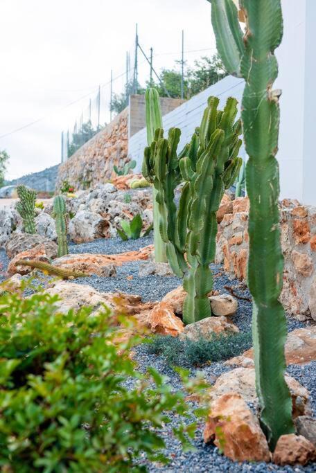 Agro Nostro-Agave With Superb View Βίλα Άγιος Νικόλαος Εξωτερικό φωτογραφία